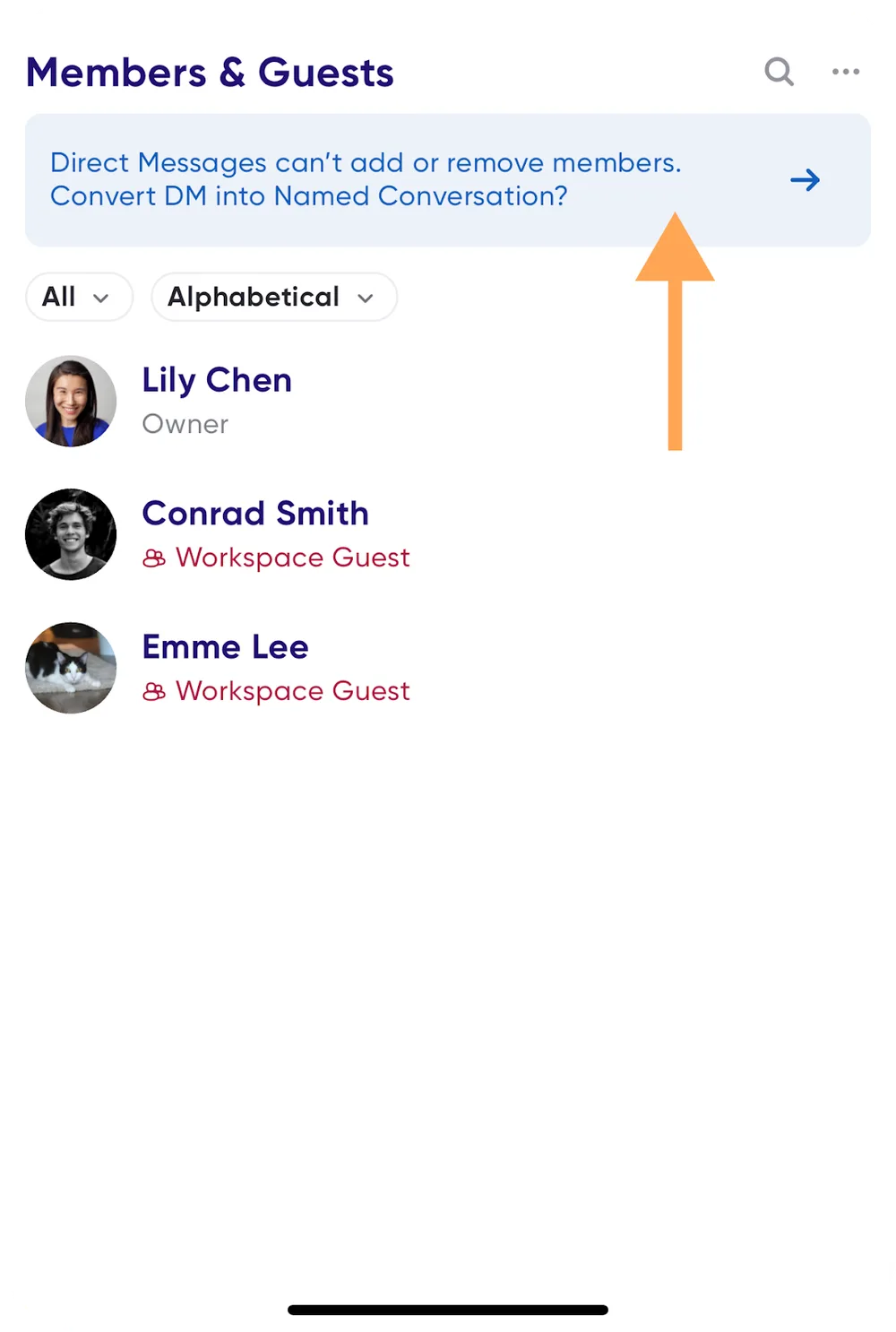 The Convert DM into Named Conversation option in member settings