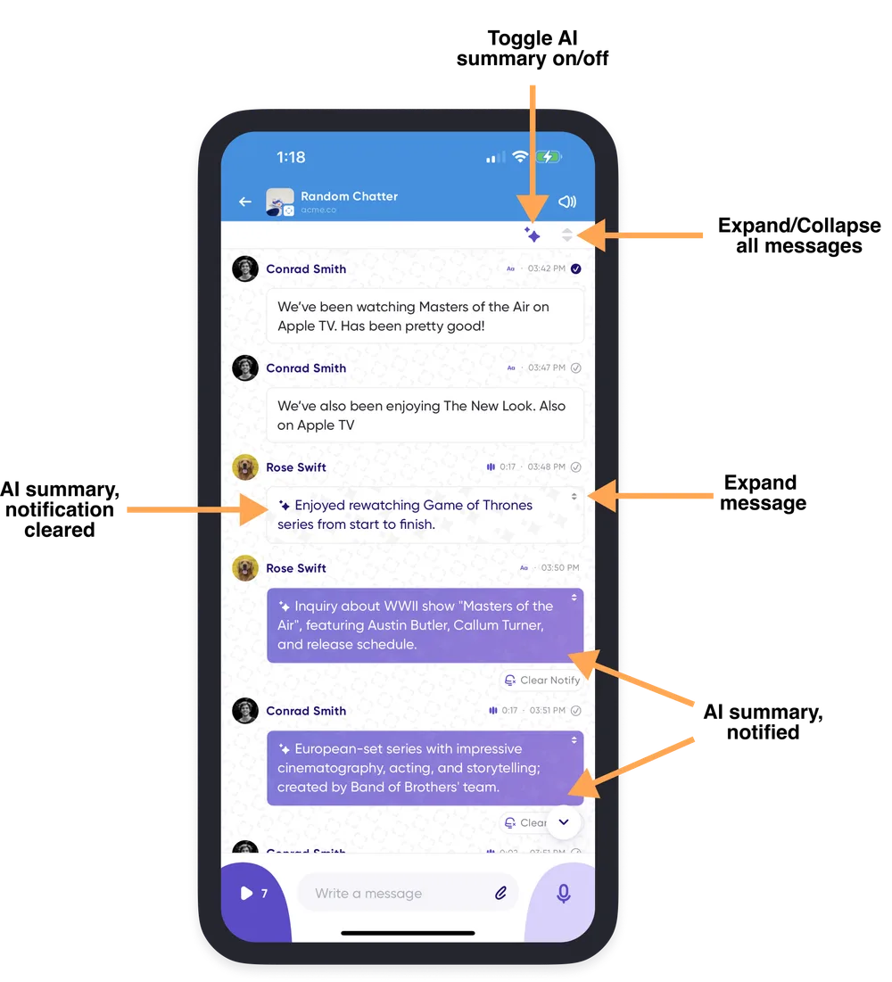 A conversation with an AI summary shown on each message